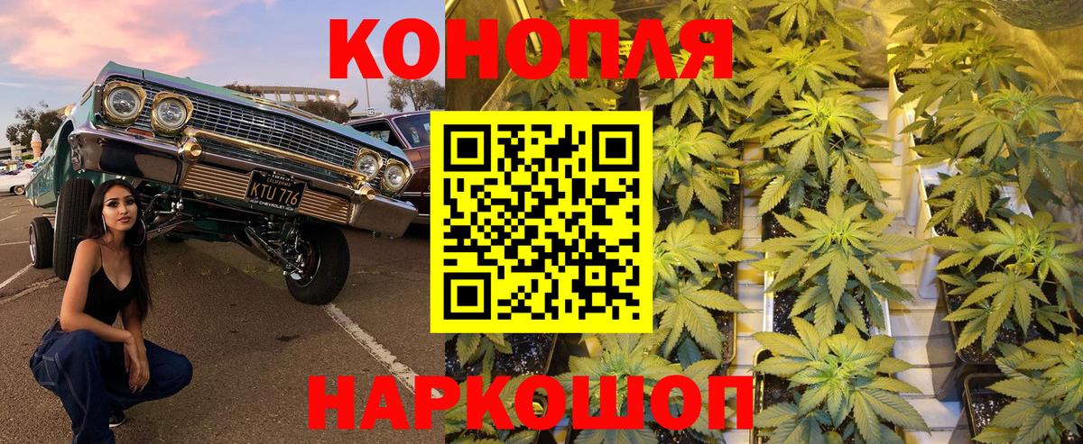 Марихуана марихуана Воронеж